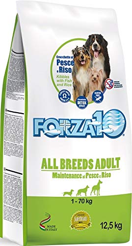 Forza 10 Maintenance für Cane Adult All Breeds mit Fisch und RIS 12,5 kg von napz