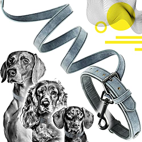 ne&no® Halsband und Leine Set (veganes Leder) Hundeleine mit Halsband I robuste Hundeleine mit Karabiner I Hundehalsband verstellbar I 1.2m Dog Leash I biegsam und extra weich (L, blau/anthrazit) von ne&no