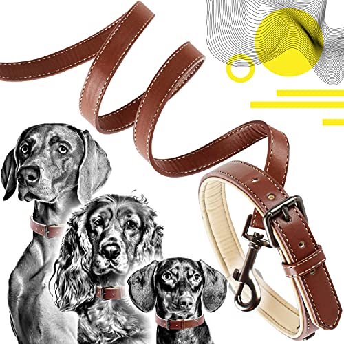 ne&no® Halsband und Leine Set (veganes Leder) Hundeleine mit Halsband I robuste Hundeleine mit Karabiner I Hundehalsband verstellbar I 1.2m Dog Leash I biegsam und extra weich (XL, braun/beige) von ne&no