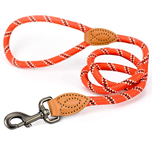 ne&no® Hundeleine (rot/schwarz/weiß) Tauleine für Hunde I Trainingsleine für Hunde I Führleine rund, geflochten I Handschlaufe Seilleine Hund I Cityleine I 1.2m Dog Leash von ne&no