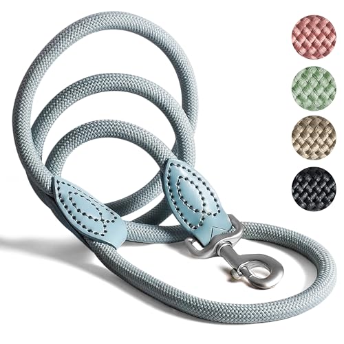 ne&no Tauleine für Hunde 1.2m I Trainingsleine I Hundeleine robust I Führleine rund, geflochten I Handschlaufe I Seil Leine Hund I Cityleine I Dog Leash (AQUA, 120 cm) von ne&no