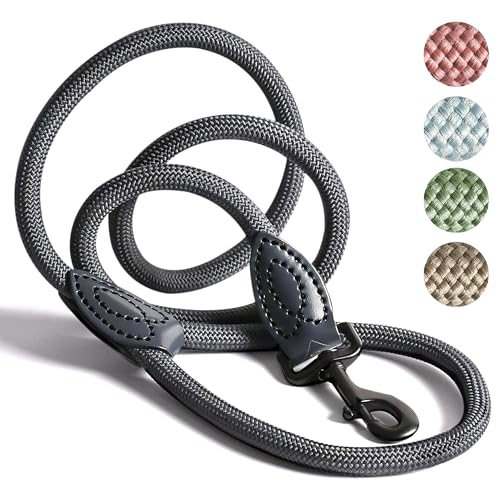 ne&no Tauleine für mittelgroße bis ganz große Hunde 1.7m I Trainingsleine I Hundeleine robust I Führleine rund, geflochten I Seil Leine Hund I Cityleine I Dog Leash (ANTHRAZIT, 170 cm) von ne&no