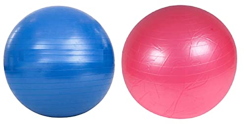 NETPROSHOP Power Play Ball Pferde Spielball Blau oder Rosa, Durchmesser ca. 90 cm, Farbe:Blau von NETPROSHOP