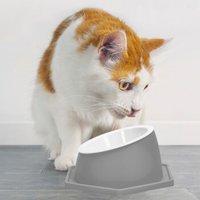 nobleza  - Gesundheits Futternapf für Katzen - Waschbar & Abnehmbar grau von nobleza