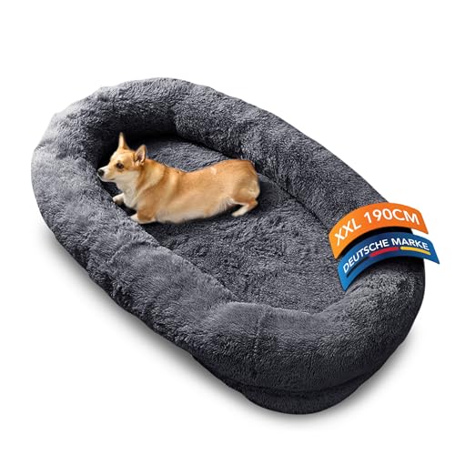 noviclass® Hundebett Balu XXL 190cm | Extrem Komfortables Hundebett für Menschen | Mit Decke und Kissen | Für Grosse Hunde | Memory-Foam Orthopädische Matratze | Waschbar (Dunkelgrau) von noviclass