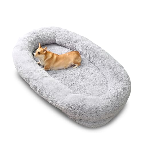 noviclass® Hundebett Balu XXL 190cm | Extrem Komfortables Hundebett für Menschen | Für Grosse Hunde | Memory-Foam Orthopädische Matratze | Mit Decke und Kissen | Waschbar von noviclass