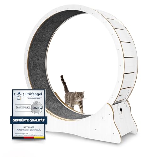 noviclass® Katzenlaufrad Baghira Groß XXL | 132cm Durchmesser Artgerecht für große Katzen | Laufrad für Katzen | Kratzfest, stabil und leise | Geprüfte Qualität und mit Deutscher Anleitung (Weiß) von noviclass