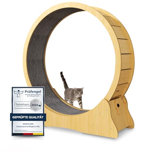 noviclass® Katzenlaufrad Baghira Groß XXL | 120 cm Innendurchmesser Artgerecht für große Katzen | Laufrad für Katzen | Kratzfest, stabil und leise | Geprüfte Qualität und mit Deutscher Anleitung von noviclass