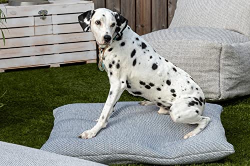 oKu-Tex Rugs & Seats Outdoor Hundekissen DogSeat, große Hunde, kleine Hunde, Innen und Außen, Wasserfest, Hundebett, gepolsterte Hundematte, Anthrazit, 80 x 100 cm, strapazierfähig & pflegeleicht von oKu-Tex