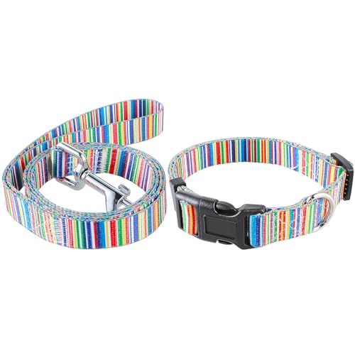 Oruola Verstellbares Hundehalsband und Leine, Set mit Schnellverschluss-Schnalle, strapazierfähiges Nylon-Gurtband für kleine, mittelgroße Hunde von oruola