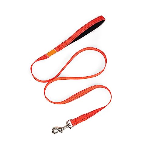 osiuujkw Hundeleine Starke Nylonleine mit gepolstertem Griff Komfortables Geschirrseil für Hunde Pet Flinker Zug Outdoor Yard, Orange von osiuujkw