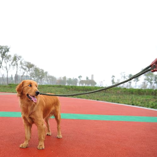 osiuujkw Strapazierfähige und verschleißfeste Haustierleine mit Nylon für eine Lange Lebensdauer. Nylon Hundegeschirr, Leine, Nylon Hundeleine, Hundeleine, Armeegrün, XL von osiuujkw