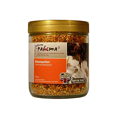 pahema Blütenpollen - 250 g im Imkerglas - 100% Natur von pahema