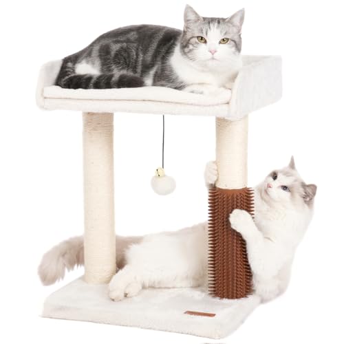 Pawfessor Kratzbaum für Katzen, klein, mit Selbstpflege, 39,9 x 34,8 cm breites Bett, natürlicher Kratzbaum und baumelnder Ball, ideal für Kätzchen und durchschnittliche Indoor-Katzen, mittelbeige von pawfessor