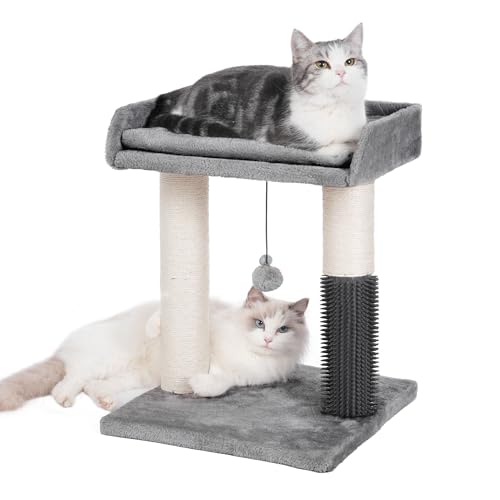 Pawfessor Kratzbaum für Katzen, klein, mit Selbstpflege, 39,9 x 34,8 cm breites Bett, natürlicher Kratzbaum und baumelnder Ball, ideal für Kätzchen und durchschnittliche Indoor-Katzen, mittelgrau von pawfessor