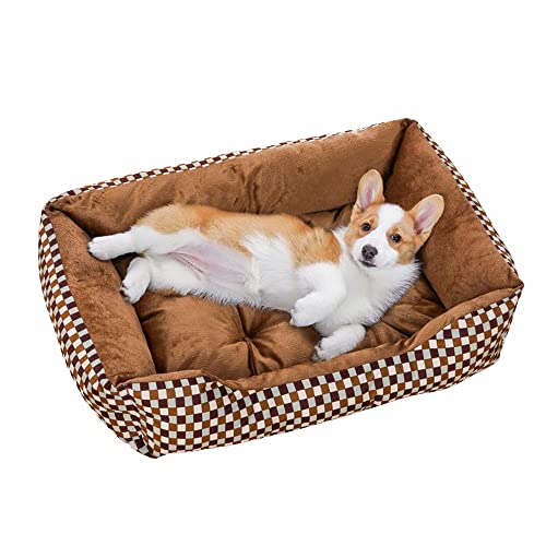 pawstrip Großes Hundebett aus Memory-Schaumstoff, orthopädisches Hundebett & Sofa mit abnehmbarem waschbarem Bezug, Katzenbetten für drinnen Katzen, bequemes Hundekissenbett – maschinenwaschbar von pawstrip