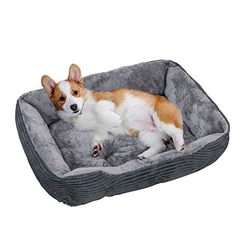 pawstrip Großes Hundebett aus Memory-Schaumstoff, orthopädisches Hundebett & Sofa mit abnehmbarem waschbarem Bezug, Katzenbetten für drinnen Katzen, bequemes Hundekissenbett – maschinenwaschbar von pawstrip