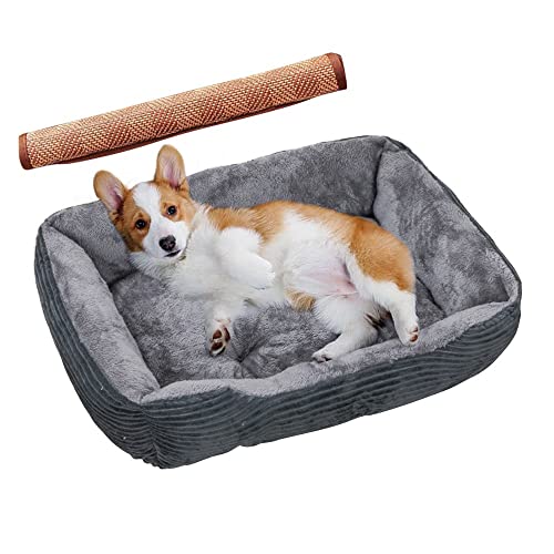 pawstrip Großes Hundebett aus Memory-Schaumstoff, orthopädisches Hundebett & Sofa mit abnehmbarem waschbarem Bezug, Katzenbetten für drinnen Katzen, bequemes Hundekissenbett – maschinenwaschbar von pawstrip