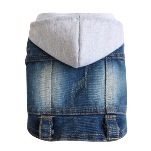 pawstrip Haustierkleidung, Jeansjacke für Hunde, Welpen, Denim, Sommer, cooles T-Shirt für kleine und mittelgroße Mädchen und Jungen, Reversweste, klassische Hoodies (Größe C, M) von pawstrip