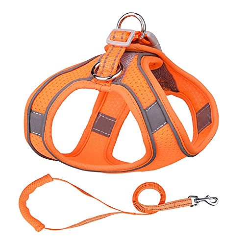 pawstrip Hundegeschirr, atmungsaktives Netzgewebe, Brustgurt mit Laufleine, reflektierend, verstellbar, Welpengeschirr, Weste für große, mittelgroße und kleine Hunde, Katzen (orange) von pawstrip