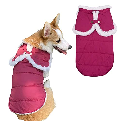 pawstrip Hundemäntel, wasserdicht, winddicht, für den Winter, für Welpen, Kätzchen, warm, Fleece, Haustierkleidung, Einteiler für kleine und mittelgroße Hunde von pawstrip