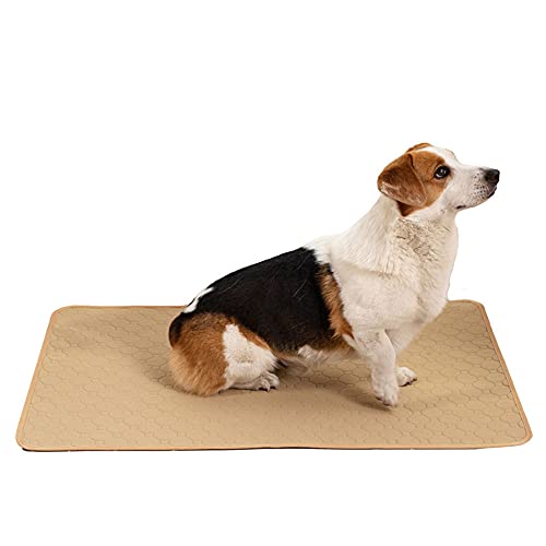 pawstrip Trainingsmatte für Hunde, waschbar, wiederverwendbar, sehr saugfähig, rutschfest, Inkontinenz-Einlagen für Hunde, Katzen und Kaninchen (Beige) von pawstrip