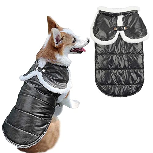 pawstrip Wasserdichter Hundemantel für den Winter, warme Fleece-Jacke für kleine, mittelgroße und große Hunde und Katzen, verstellbar, reflektierend, für Welpen, Kätzchen, Outfit (grün) von pawstrip