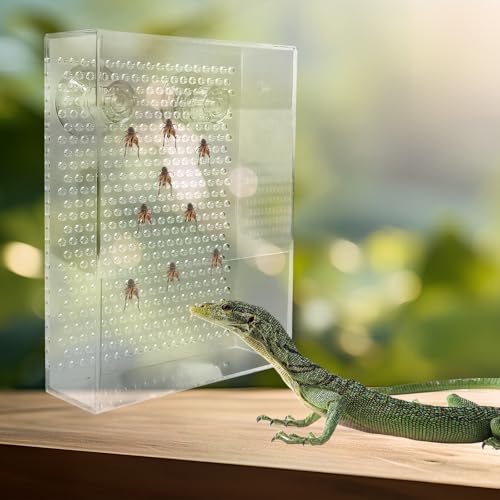 Bartdrachen Futterspender Transparent Acryl Chamäleon Käfer Schale Wandmontage Insektenfutterspender mit Saugnäpfen Tank und Aquarium Zubehör für Eidechse Bartagame Gecko Frosch von peak motion