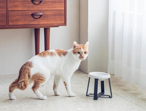 Katzennapf aus Keramik von pecolo