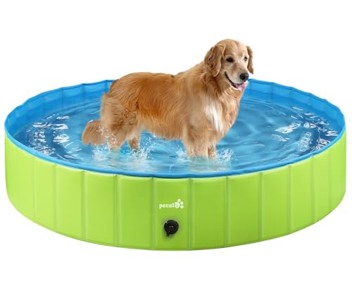 Pecute Hundepool Schwimmbad für Hunde und Katzen(80 * 20cm,100L),Swimmingpool Hund Planschbecken Hundebadewanne Faltbarer Pool mit rutschfestem PVC, für Kinder und Hund Katze M Grün von pecute