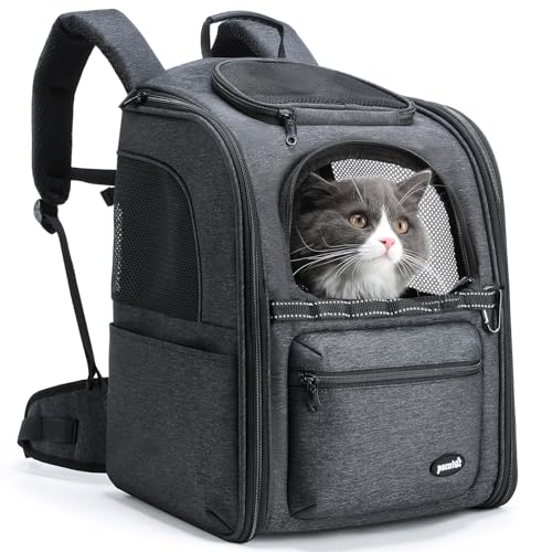 Pecute Katzenrucksack Hunderucksack Haustier Rucksack, Belastung Verringern Hundetasche, Katzentasche, Entlastungssystem Katzen Rucksack, Faltbar und Leicht, Atmungsaktiv, geeignet für Tiere bis 6 kg von pecute