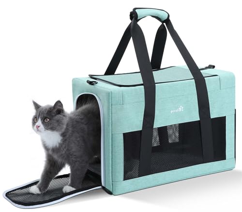 pecute Haustier Tragetasche, leicht und faltbar, für Katzen und kleine Hunde, ideal für Reisen, Arztbesuche, geeignet für Tiere bis 6 kg,Aquagrün von pecute