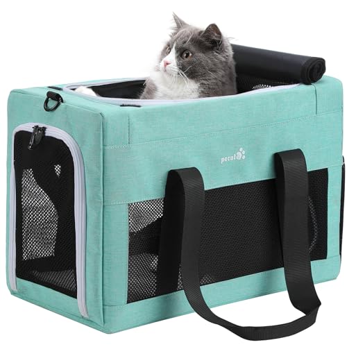 pecute Katzentasche Transporttasche Flugtasche Stabiler Halt Haustier Tragetasche, Transportbox Katze Leicht, Faltbar Katzen Tasche für Katzen und kleine Hunde, ideal für Reisen, bis 6 kg, Aquagrün von pecute