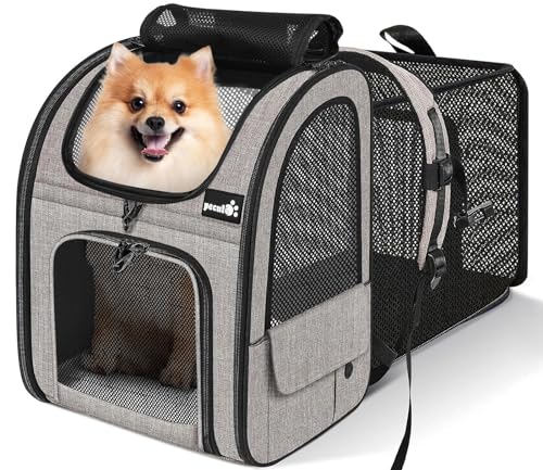 pecute Hunderucksack Erweiterbar XL für 6-10 kg, Faltbar Katzenrucksack Katzen mit Anti-offener Reißverschluss, Atmungsaktive Rucksack Hund mit Netz Fenster Grau, für Hunde Katzen Haustiere von pecute