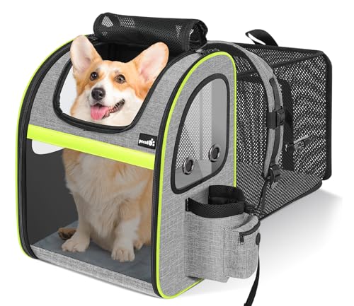 pecute Hunderucksack Erweiterbar XL für 6-10 kg, Faltbar Katzenrucksack Katzen mit Anti-offener Reißverschluss, Rucksack Hund mit Transparentes Fenster Grau XL, für Hunde Katzen Haustiere von pecute