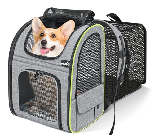 pecute Hunderucksack Erweiterbar XL für 6-10 kg, Faltbar Katzenrucksack Katzen mit Anti-offener Reißverschluss, Atmungsaktive Rucksack Hund mit Netz Fenster Grau, für Hunde Katzen Haustiere von pecute