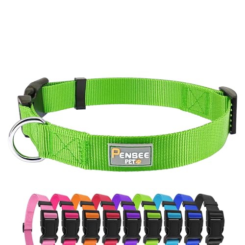 PENSEEPET Hundehalsband Grün Basic Hundehalsbänder mit atmungsaktivem Schnellverschluss Nylon Haustier Halsband für Welpen Kleine Mittlere Große Hunde Junge Mädchen von penseepet