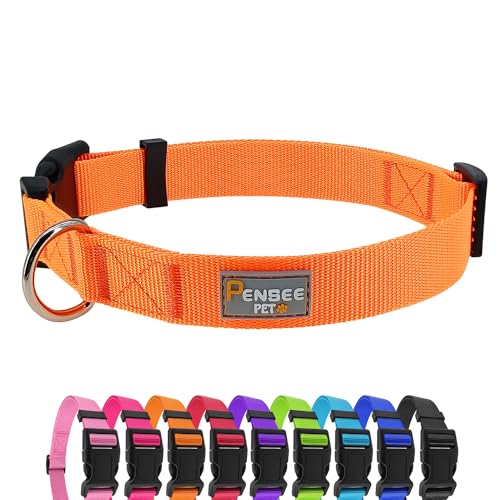 PENSEEPET Hundehalsband für große Hunde verstellbar groß mittel klein verschiedene Größen orange Hundehalsbänder von penseepet