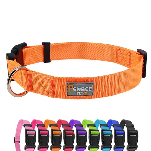 PENSEEPET Welpen Halskette Hund Hundehalsband verstellbar für kleine Hunde groß mittel klein verschiedene Größen orange von penseepet