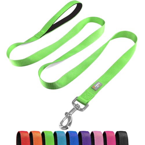 PenSeepet Basic Hundeleine, 1,8 m, gepolsterter Griff, Nylon, für große Hunde, Grün von penseepet