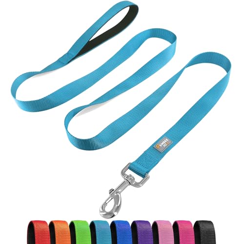 PenSeepet Basic Hundeleine, 1,8 m, gepolsterter Griff, Nylon, für große Hunde, Hellblau von penseepet