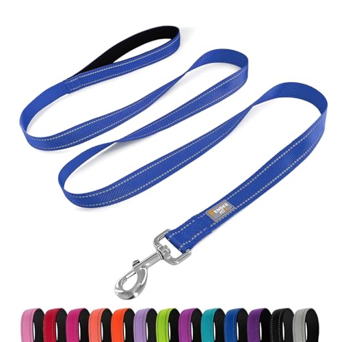 PenSeepet Hundeleine, 1,8 m, gepolsterter Griff, Nylon, reflektierend, für große Hunde, Blau von penseepet