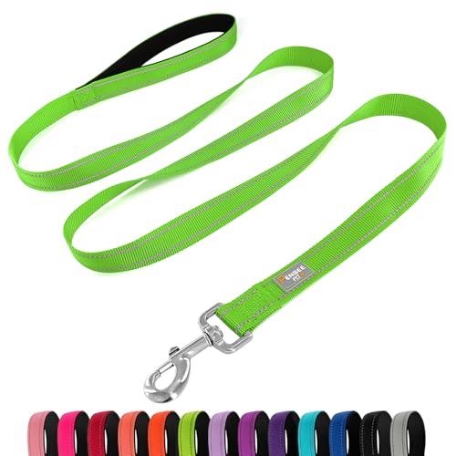 PenSeepet Hundeleine, 1,8 m, gepolsterter Griff, Nylon, reflektierend, für große Hunde, Grün von penseepet