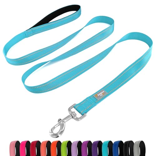 PenSeepet Hundeleine, 1,8 m, gepolsterter Griff, Nylon, reflektierend, für große Hunde, Himmelblau von penseepet