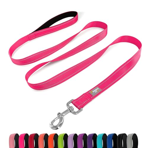 PenSeepet Hundeleine, 1,8 m, gepolsterter Griff, Nylon, reflektierend, für große Hunde, Hot Pink von penseepet