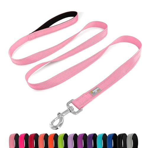 PenSeepet Hundeleine, 1,8 m, gepolsterter Griff, Nylon, reflektierend, für große Hunde, Rosa von penseepet