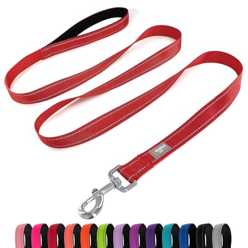 PenSeepet Hundeleine, 1,8 m, gepolsterter Griff, Nylon, reflektierend, für große Hunde, Rot von penseepet