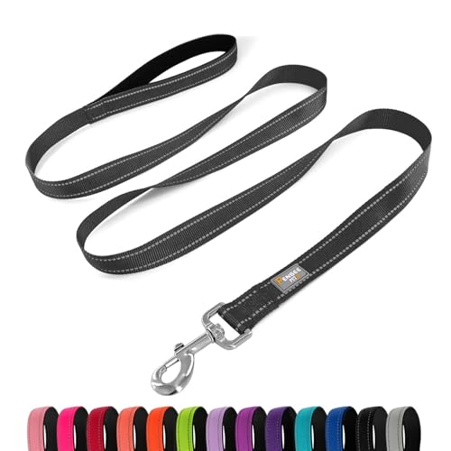 PenSeepet Hundeleine, 1,8 m, gepolsterter Griff, Nylon, reflektierend, für große Hunde, Schwarz von penseepet