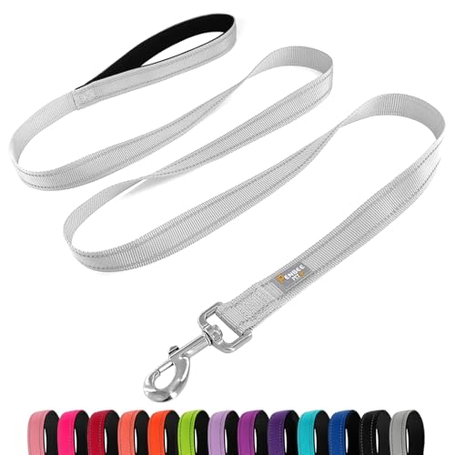 PenSeepet Hundeleine, 1,8 m, gepolsterter Griff, Nylon, reflektierend, für große Hunde, Silber von penseepet