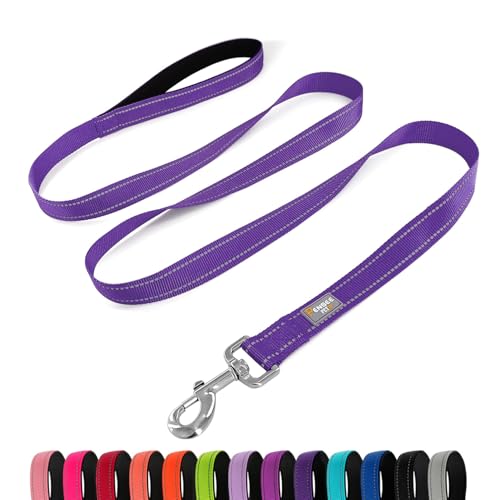 PenSeepet Hundeleine, 1,8 m, gepolsterter Griff, Nylon, reflektierend, für mittelgroße Hunde, Violett von penseepet